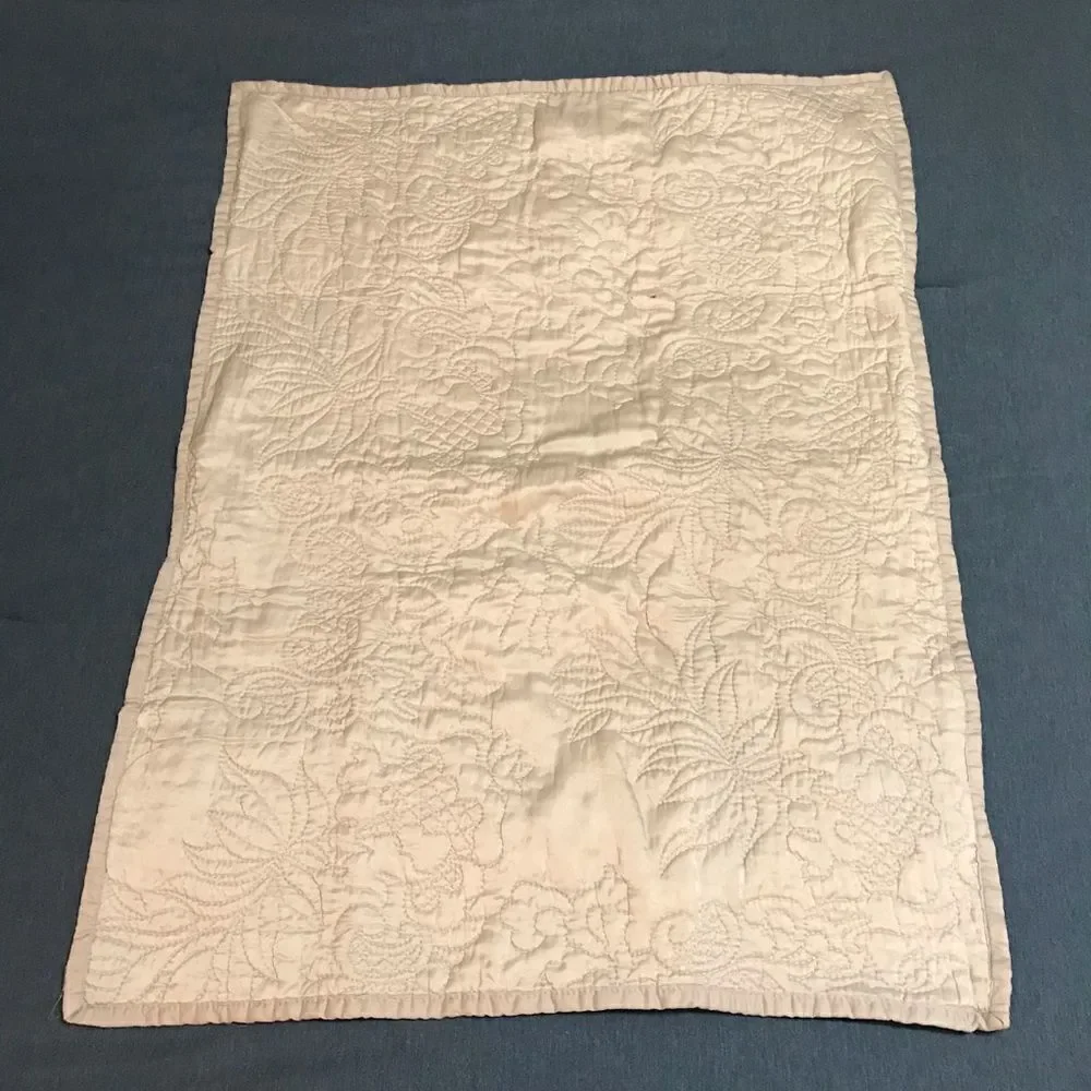 2 Pottery Barn Monique Lhuillier Shams